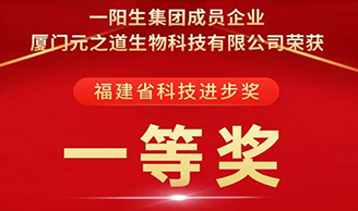 喜讯 | 尊龙凯时人生就是博z6com集团荣获“科技前进一等奖”