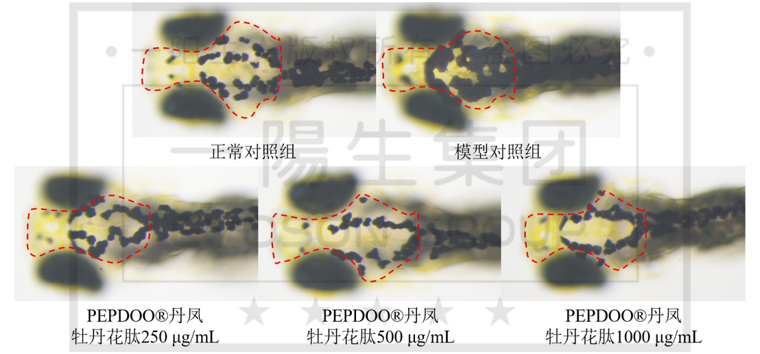 尊龙凯时人生就得博z6com·(中国)官网